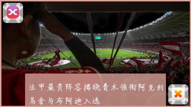 法甲最贵阵容揭晓青木领衔阿克利乌舍与布阿迪入选
