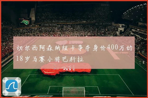 切尔西阿森纳纽卡争夺身价400万的18岁马赛小将巴科拉
