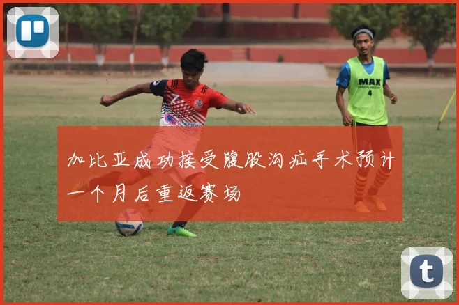 加比亚成功接受腹股沟疝手术预计一个月后重返赛场