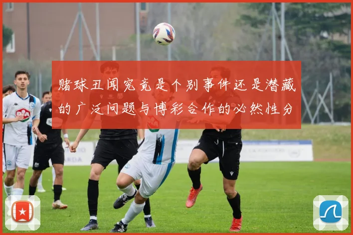 赌球丑闻究竟是个别事件还是潜藏的广泛问题与博彩合作的必然性分析